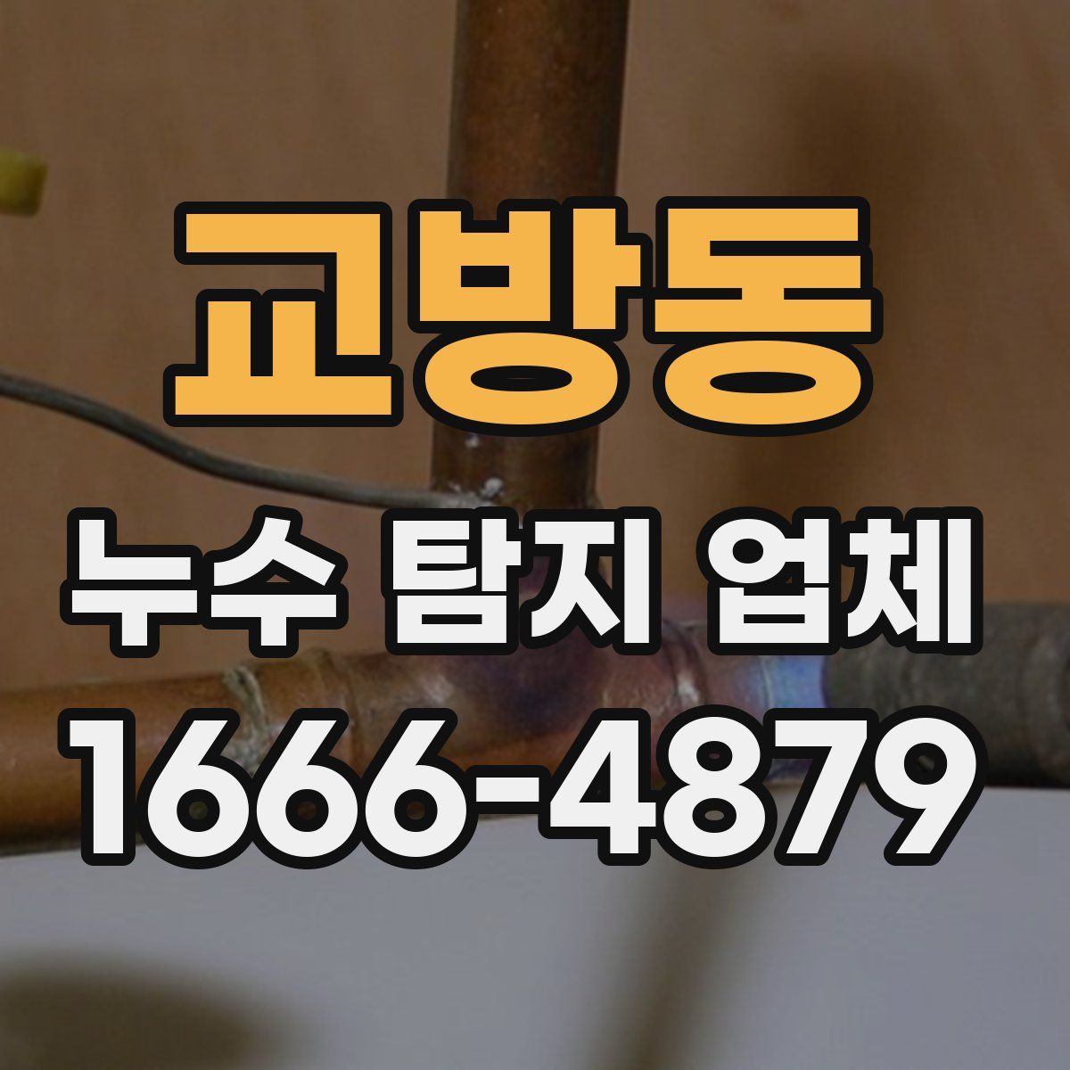 교방동 누수 탐지 업체