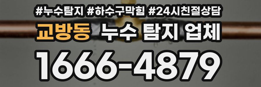 교방동 누수 탐지 업체