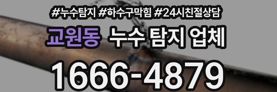 교원동 누수 탐지 업체