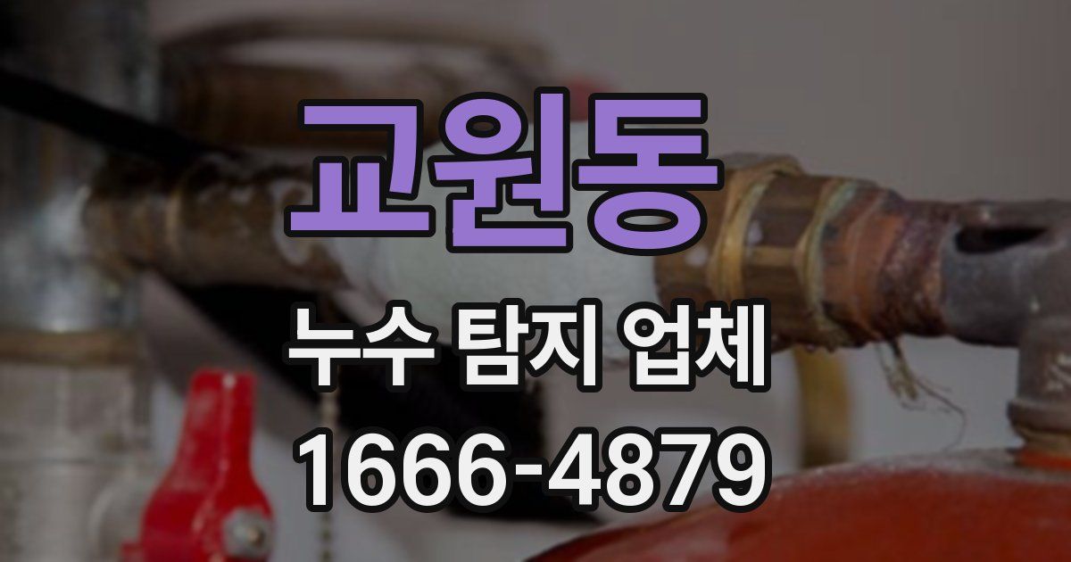 교원동 누수 탐지 업체
