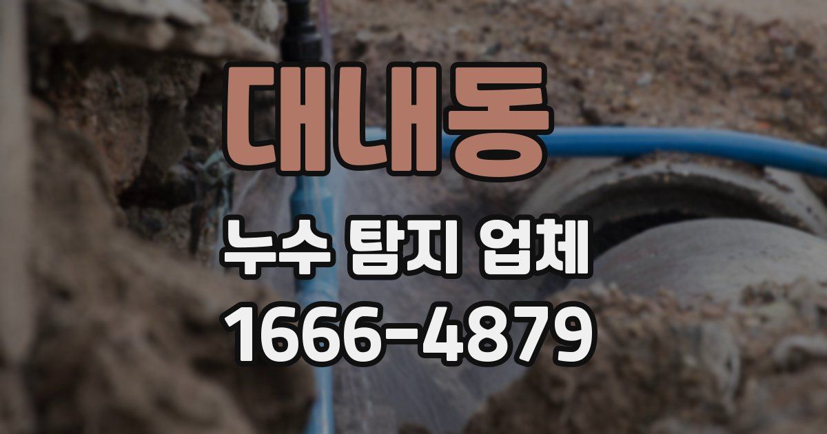 대내동 누수 탐지 업체