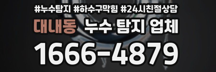 대내동 누수 탐지 업체
