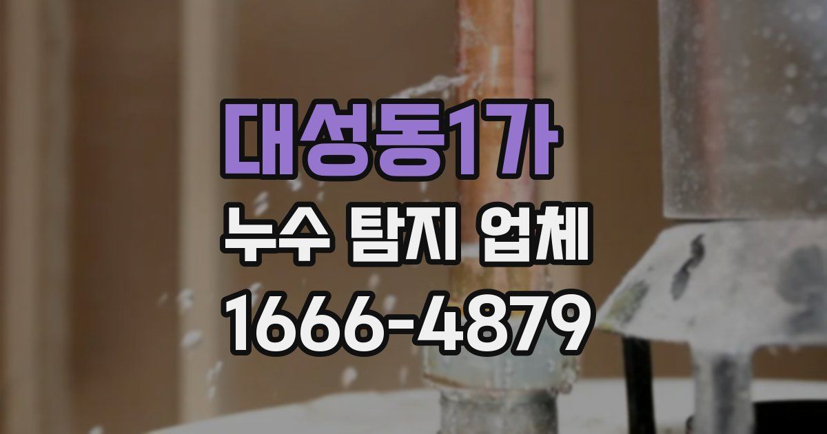 대성동1가 누수 탐지 업체