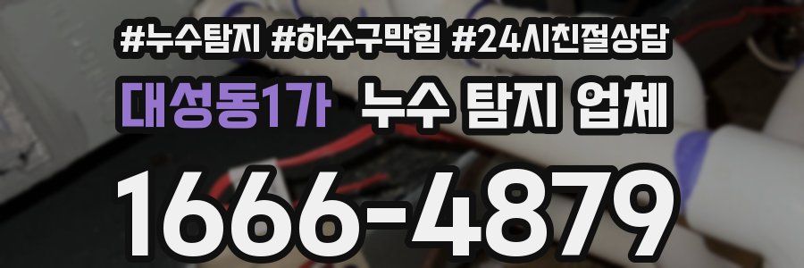 대성동1가 누수 탐지 업체