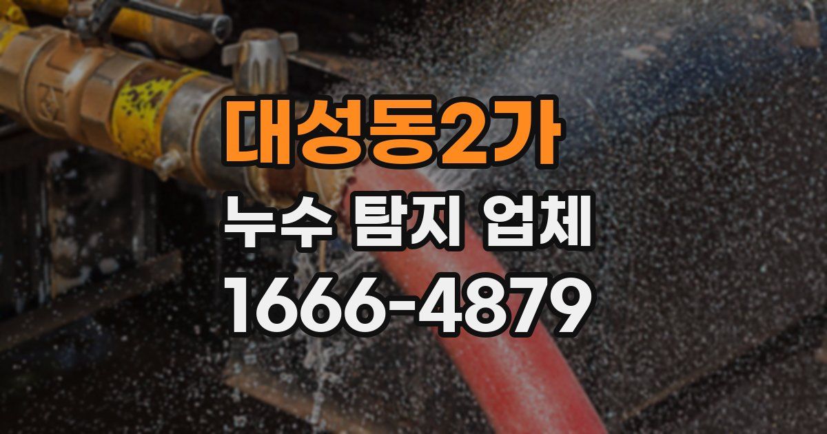대성동2가 누수 탐지 업체