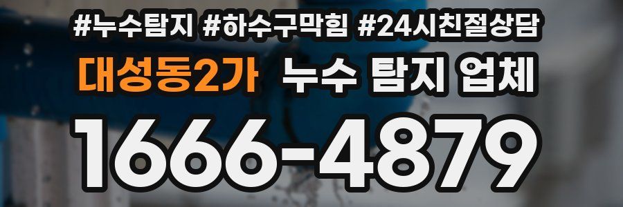 대성동2가 누수 탐지 업체