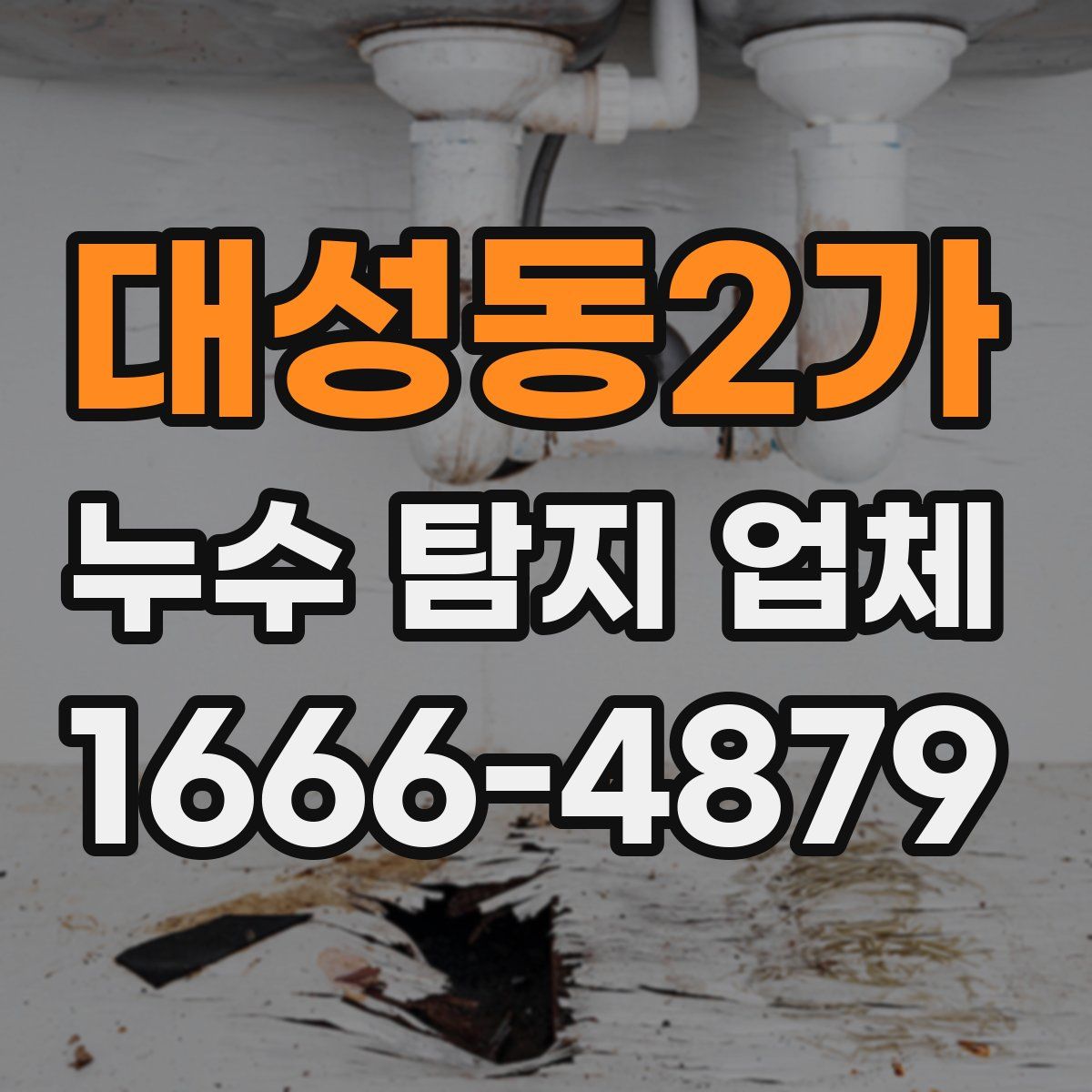 대성동2가 누수 탐지 업체
