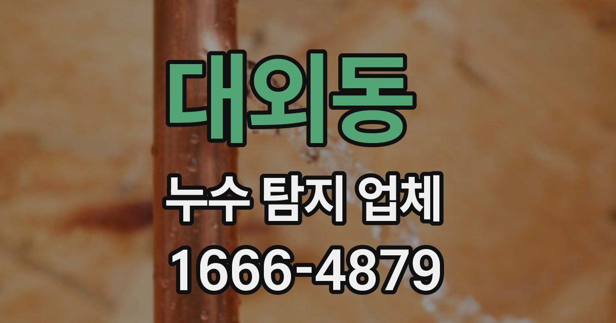 대외동 누수 탐지 업체