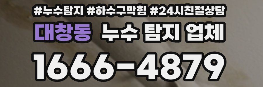 대창동 누수 탐지 업체