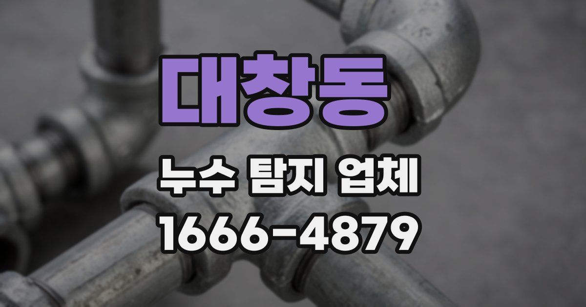 대창동 누수 탐지 업체