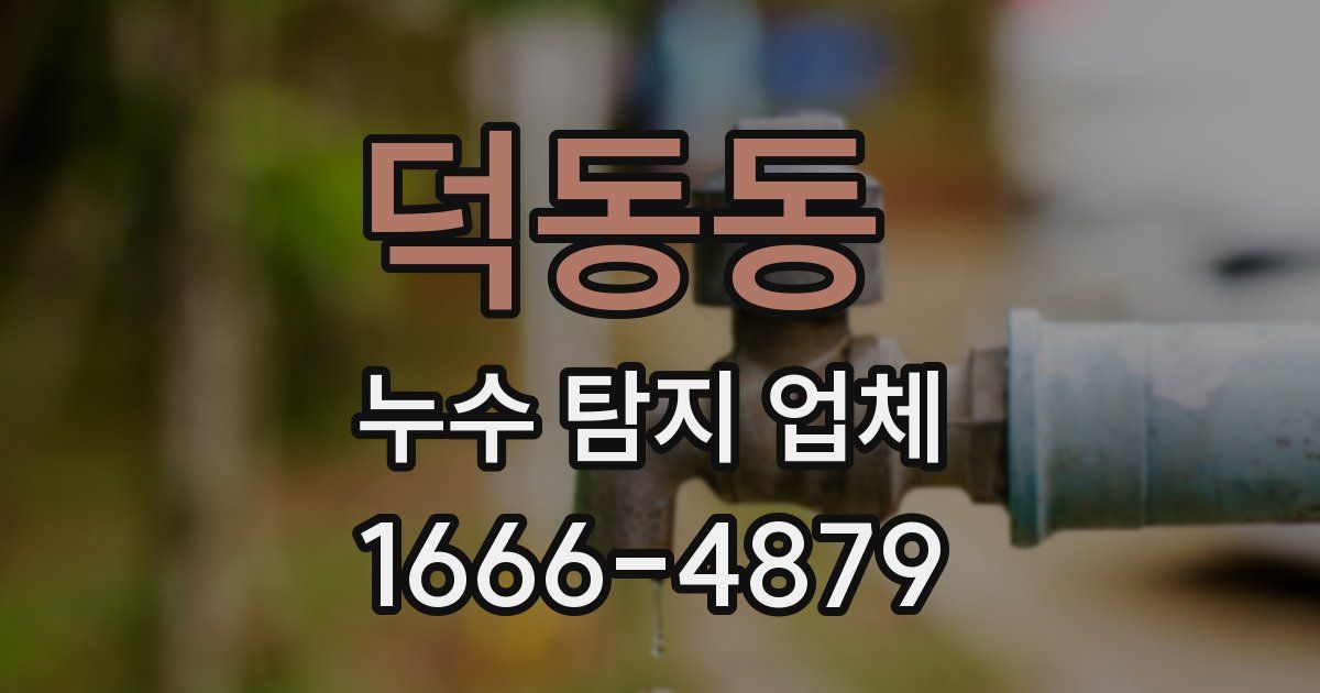 덕동동 누수 탐지 업체