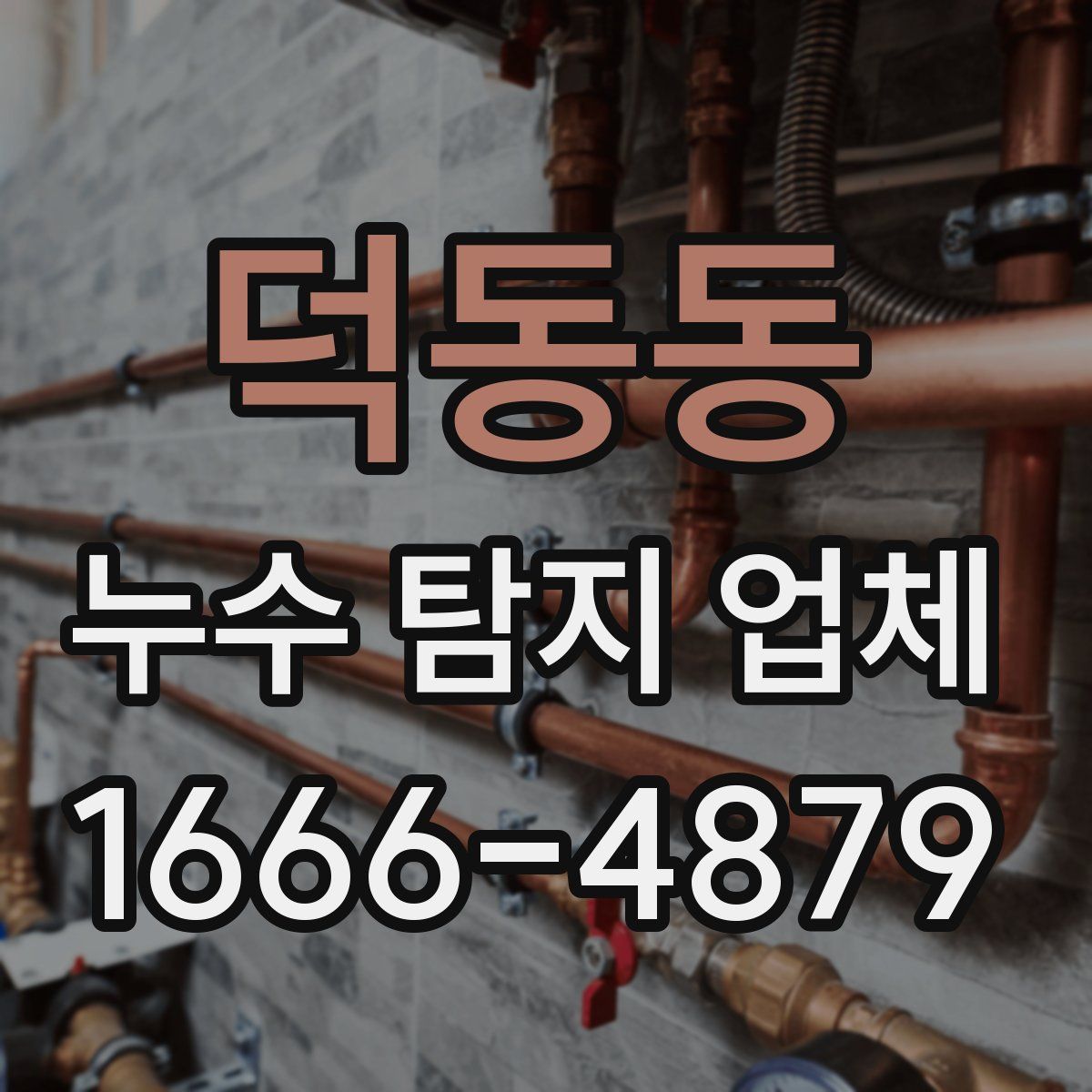 덕동동 누수 탐지 업체