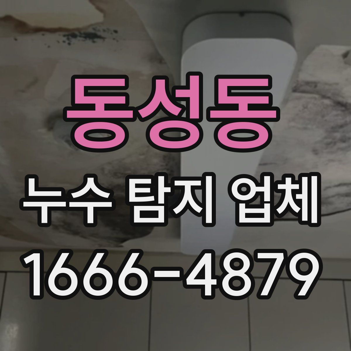 동성동 누수 탐지 업체