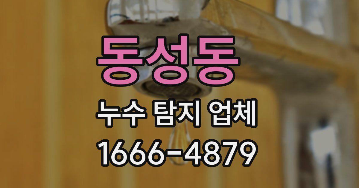 동성동 누수 탐지 업체
