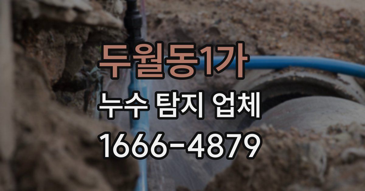 두월동1가 누수 탐지 업체