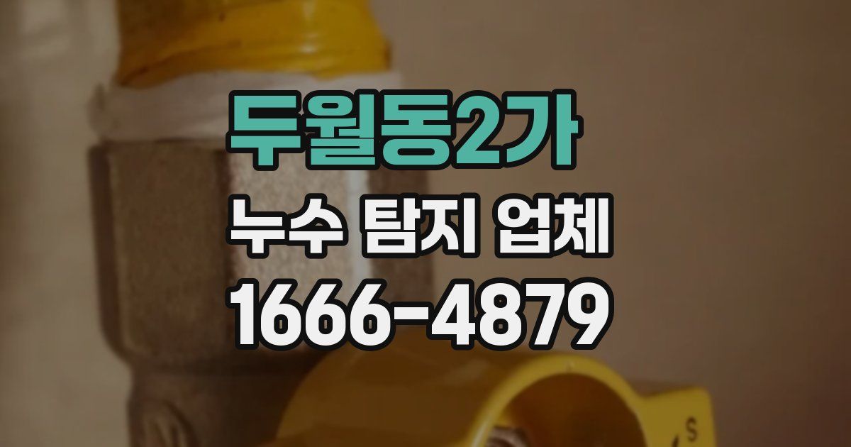 두월동2가 누수 탐지 업체