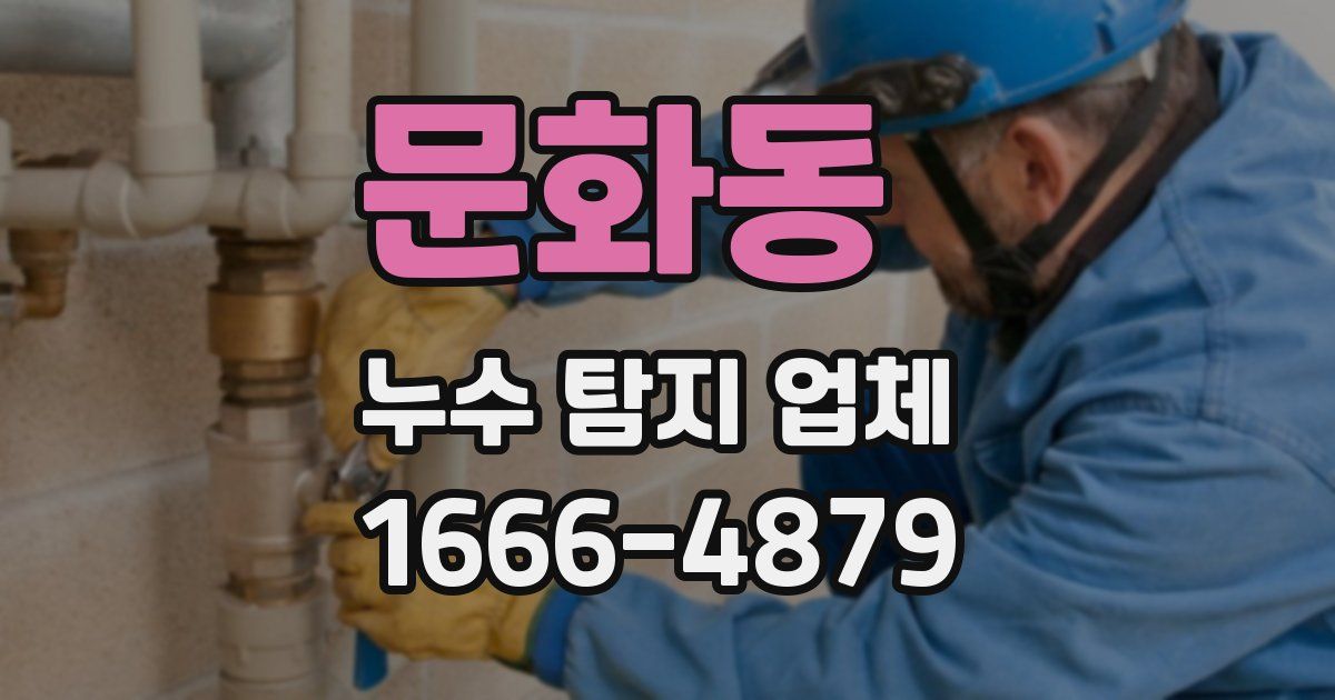 문화동 누수 탐지 업체