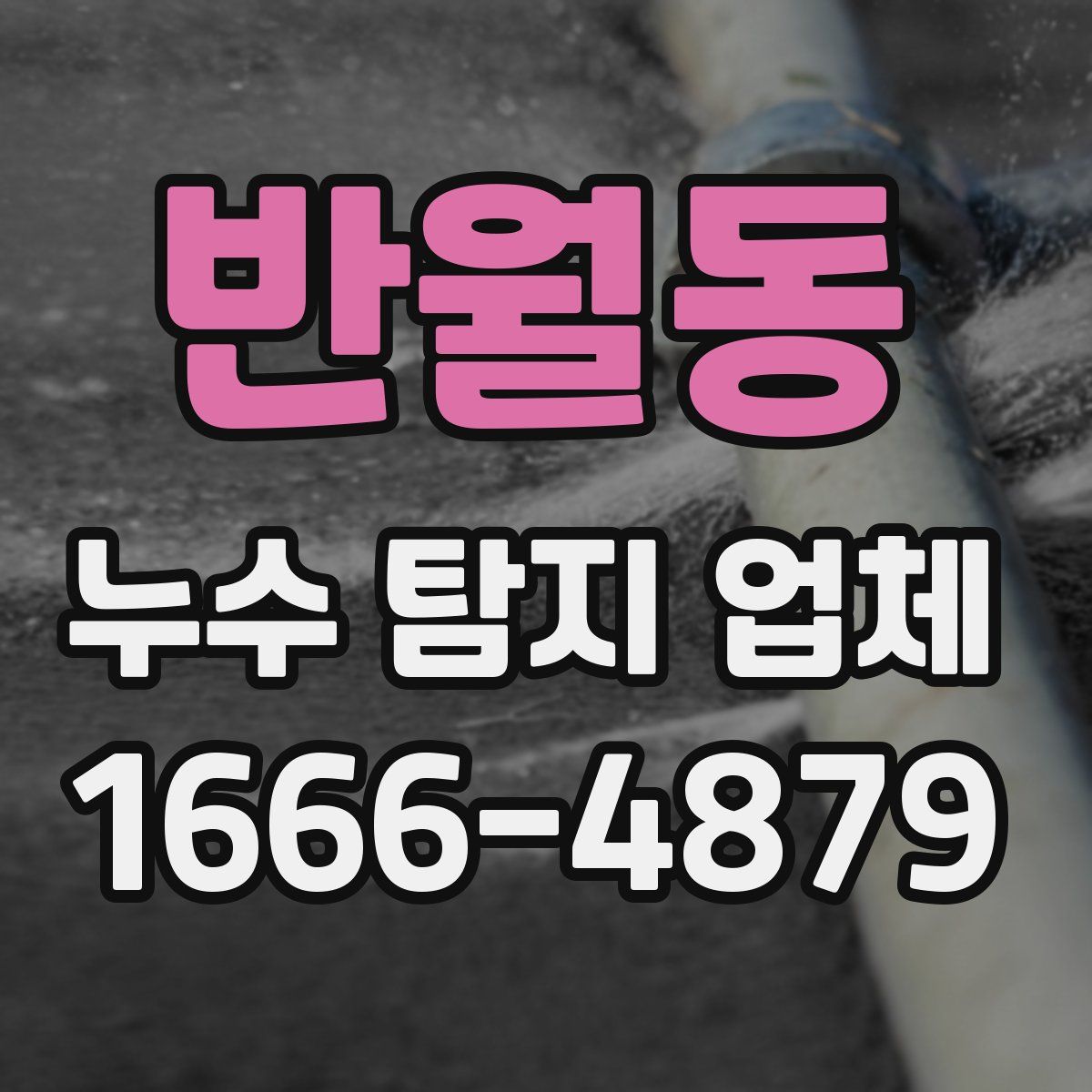 반월동 누수 탐지 업체