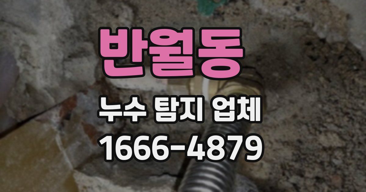 반월동 누수 탐지 업체