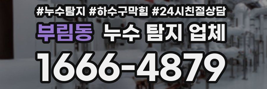 부림동 누수 탐지 업체