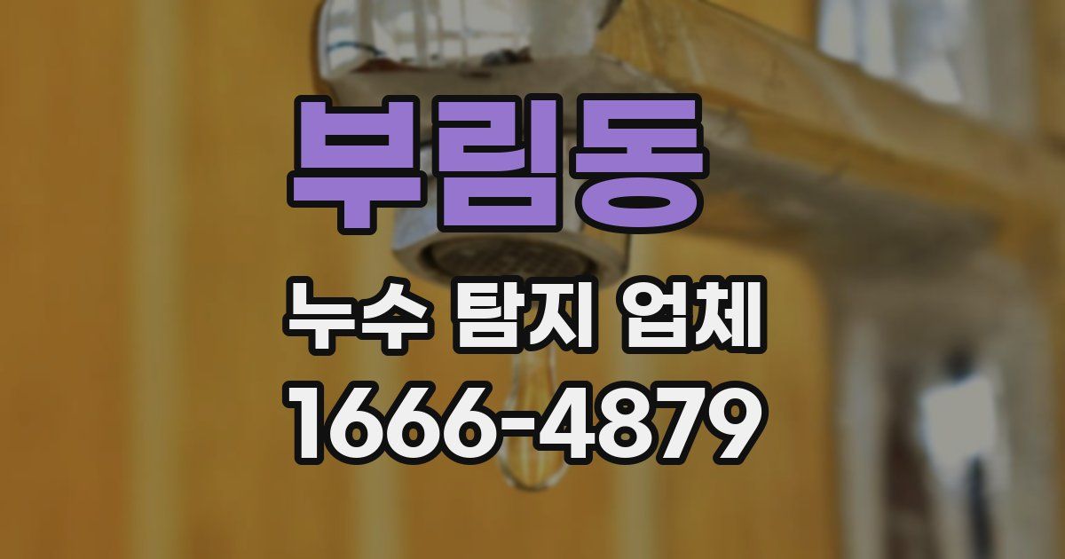 부림동 누수 탐지 업체