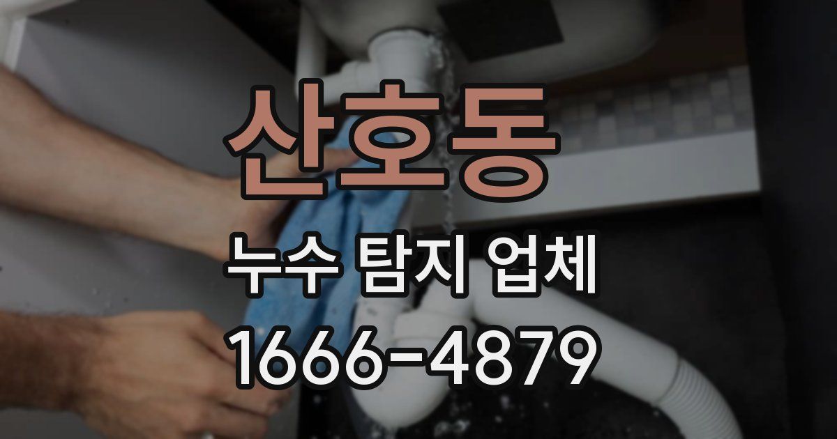 산호동 누수 탐지 업체
