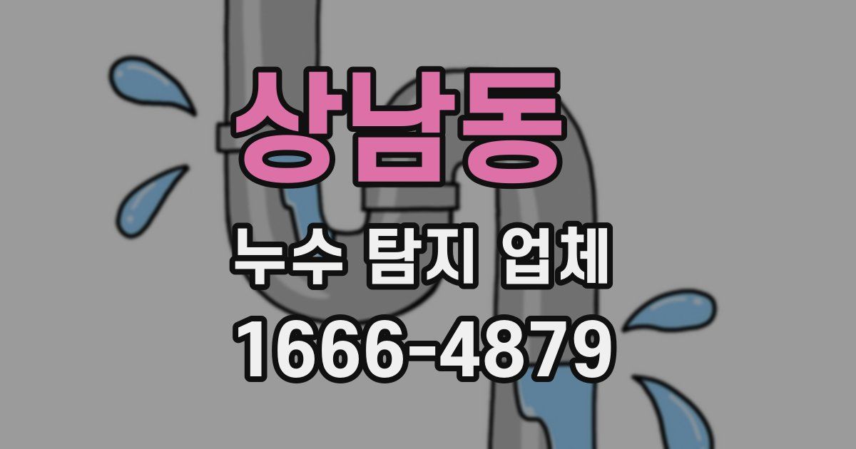 상남동 누수 탐지 업체