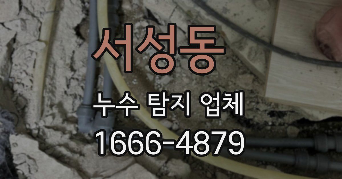 서성동 누수 탐지 업체