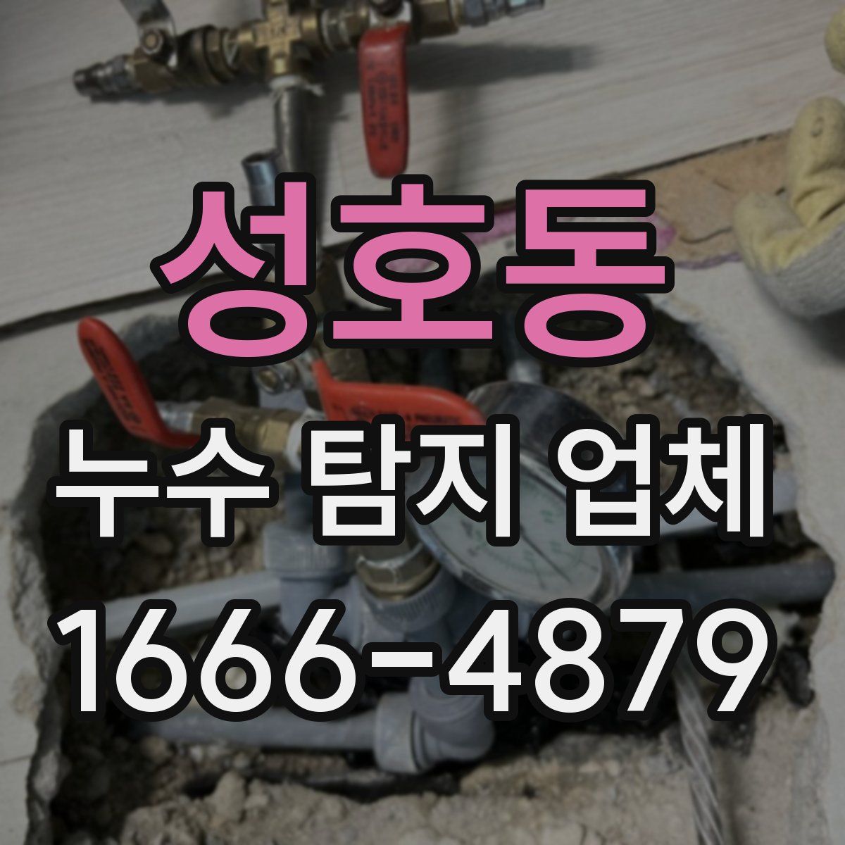 성호동 누수 탐지 업체