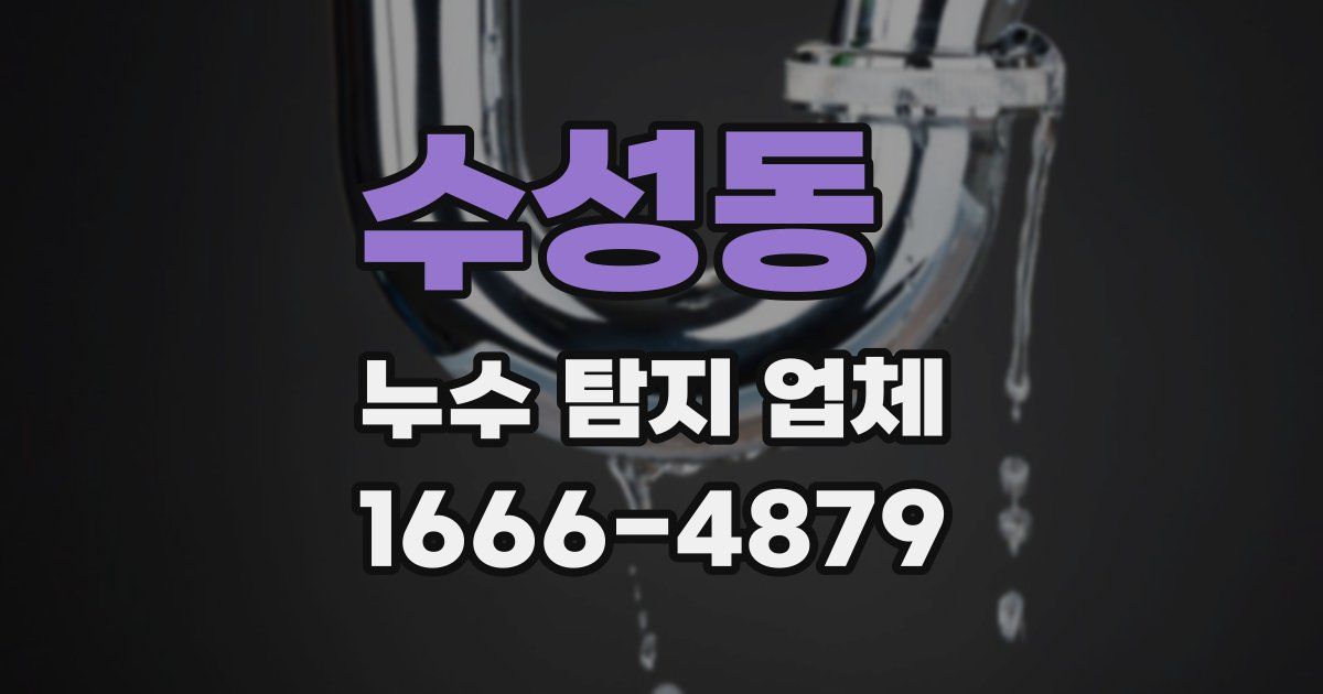 수성동 누수 탐지 업체
