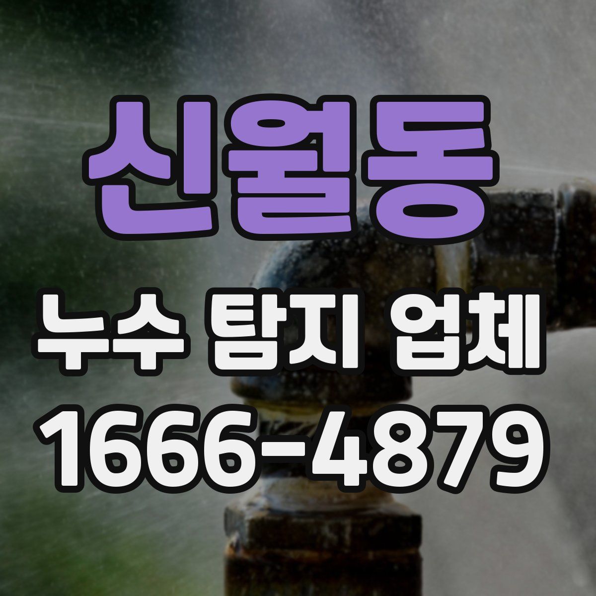 신월동 누수 탐지 업체