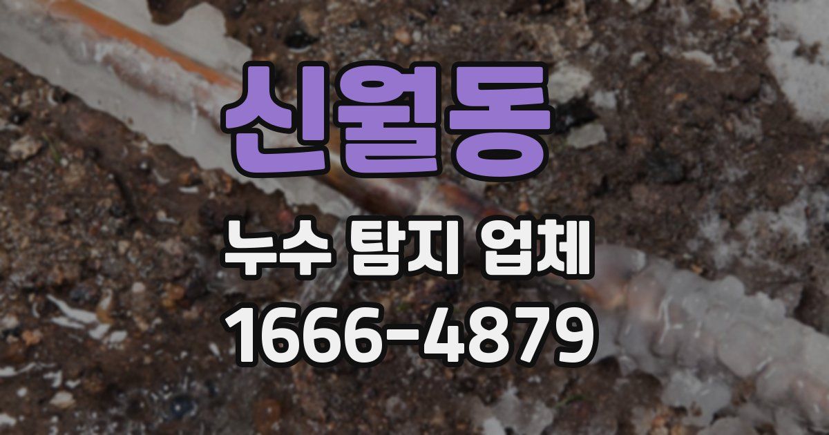 신월동 누수 탐지 업체