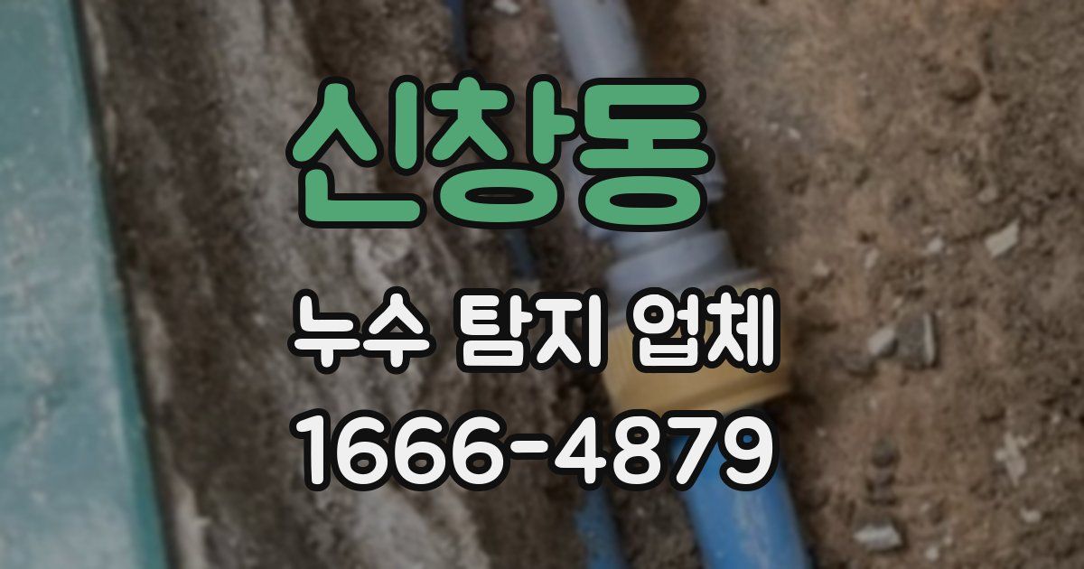 신창동 누수 탐지 업체