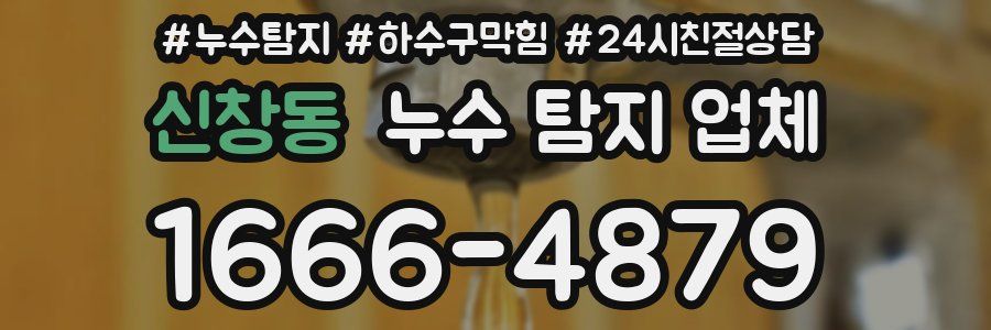 신창동 누수 탐지 업체