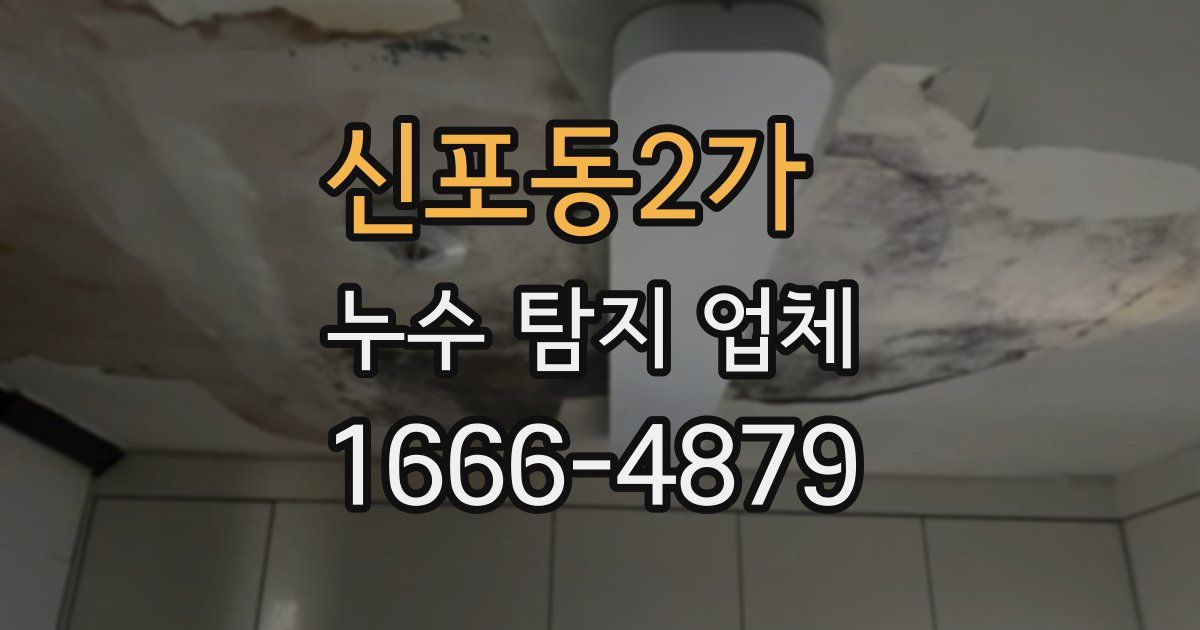 신포동2가 누수 탐지 업체