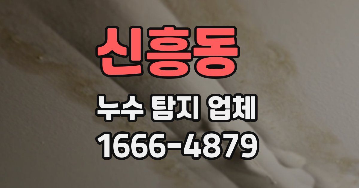 신흥동 누수 탐지 업체
