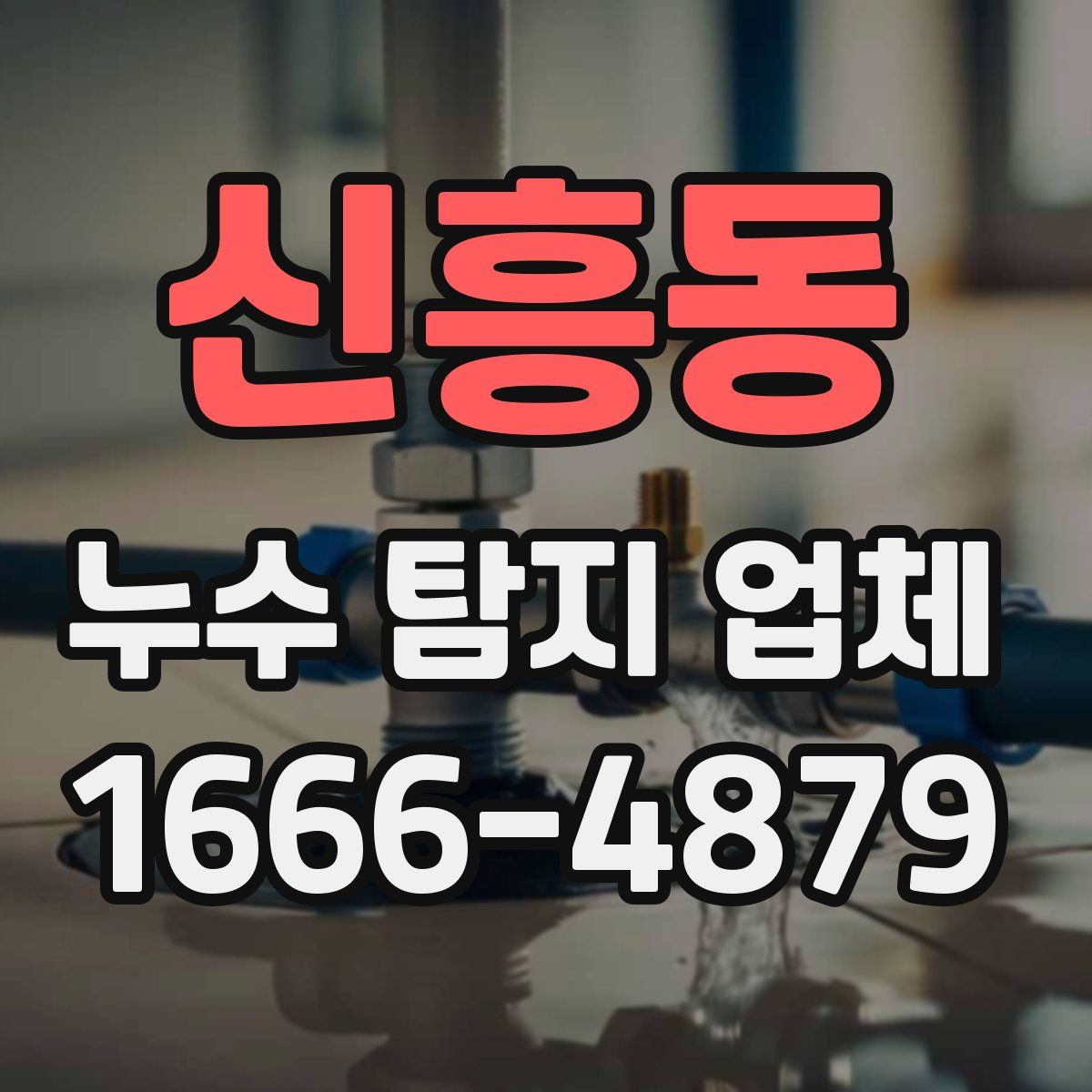 신흥동 누수 탐지 업체
