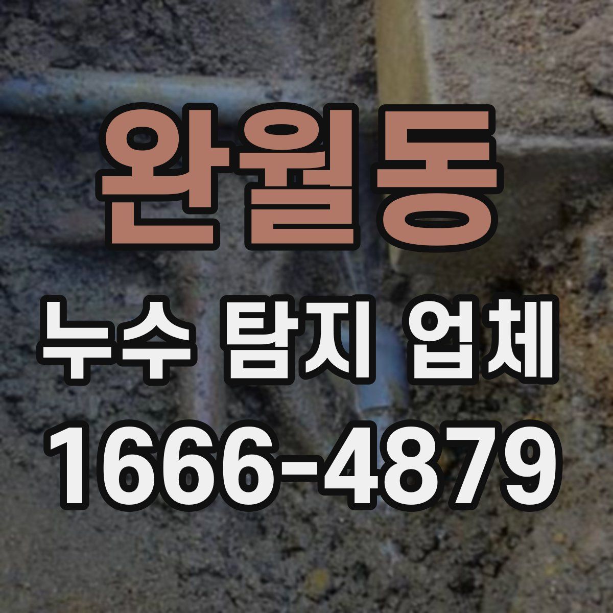 완월동 누수 탐지 업체