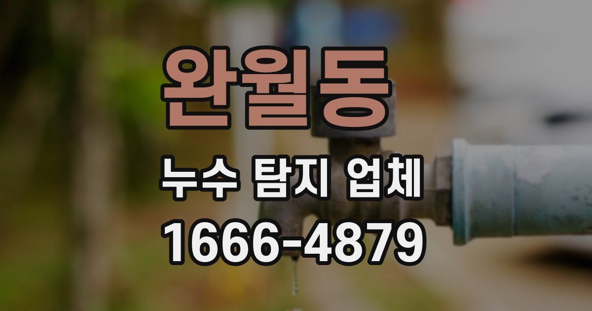완월동 누수 탐지 업체