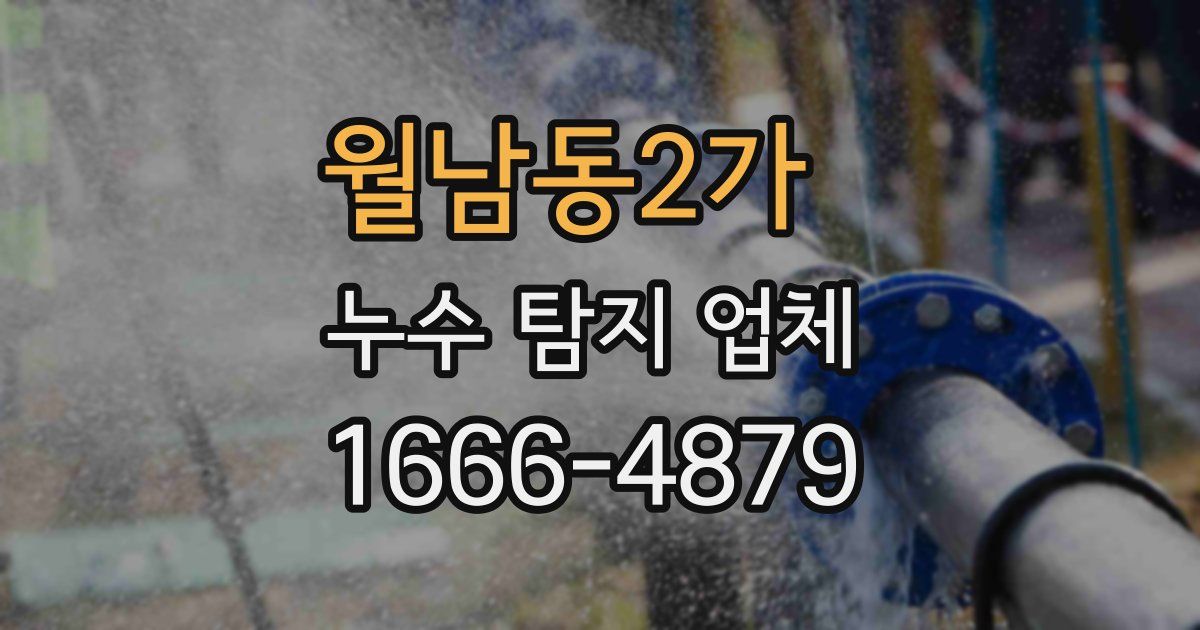 월남동2가 누수 탐지 업체