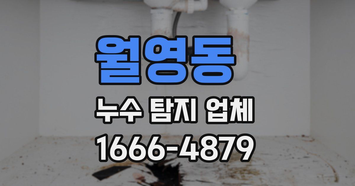 월영동 누수 탐지 업체