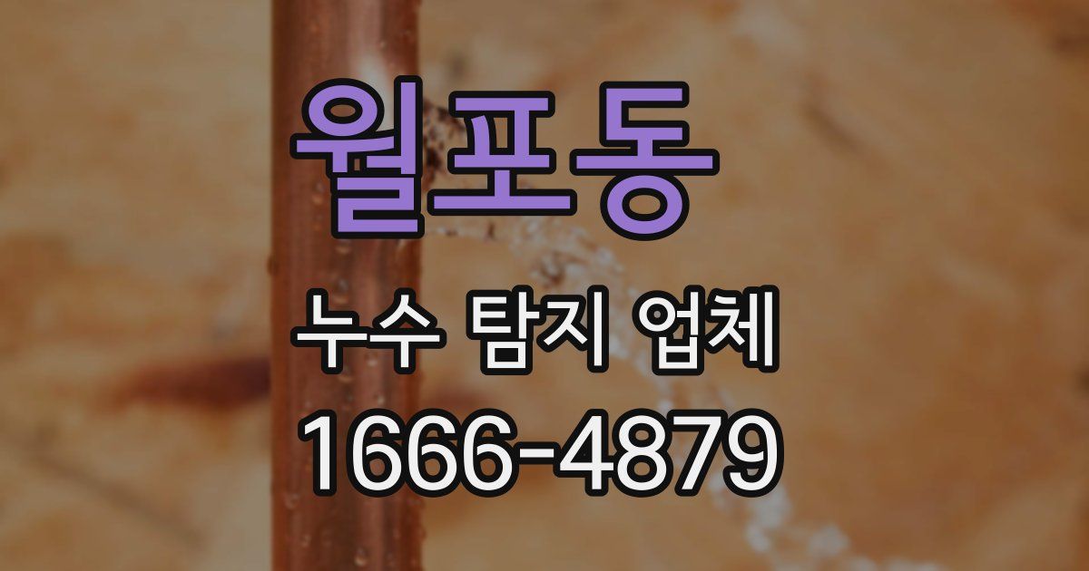 월포동 누수 탐지 업체