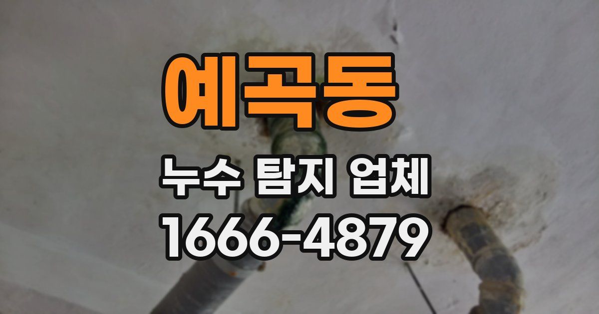 예곡동 누수 탐지 업체