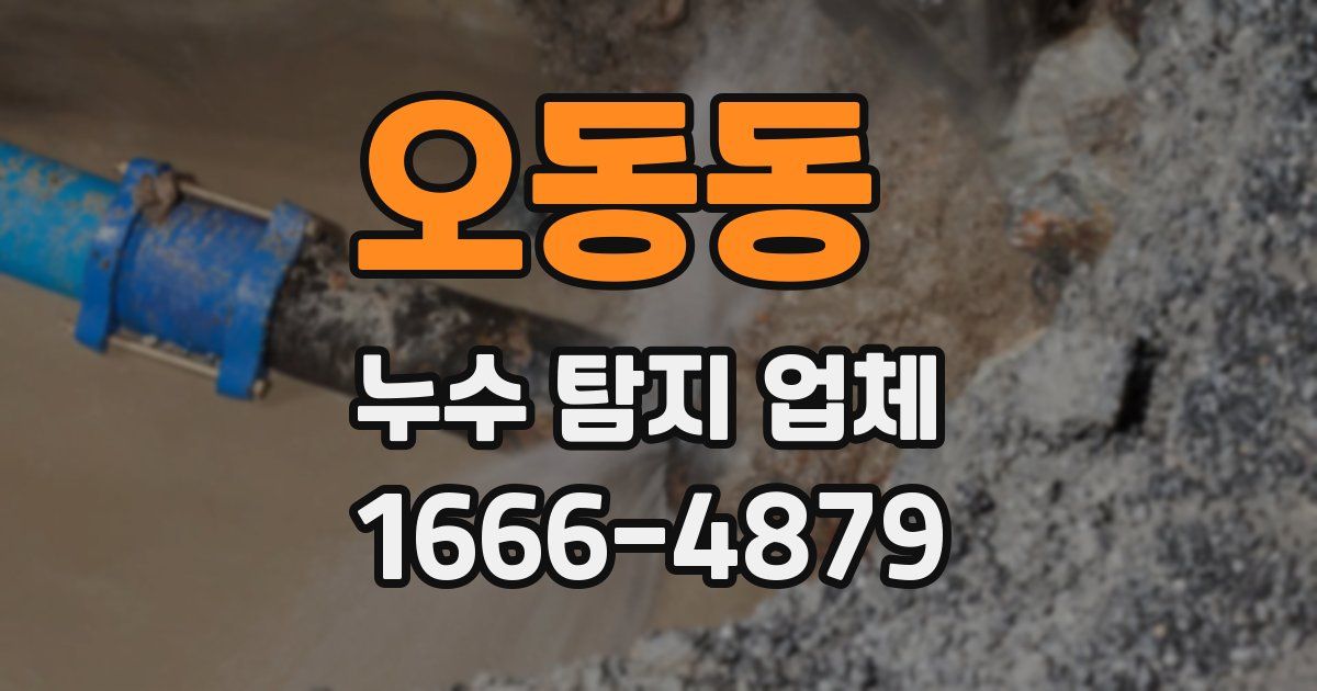 오동동 누수 탐지 업체