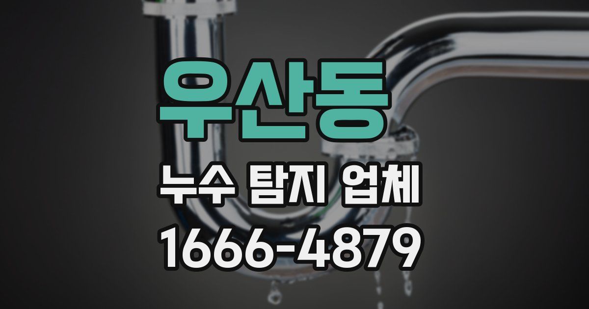 우산동 누수 탐지 업체