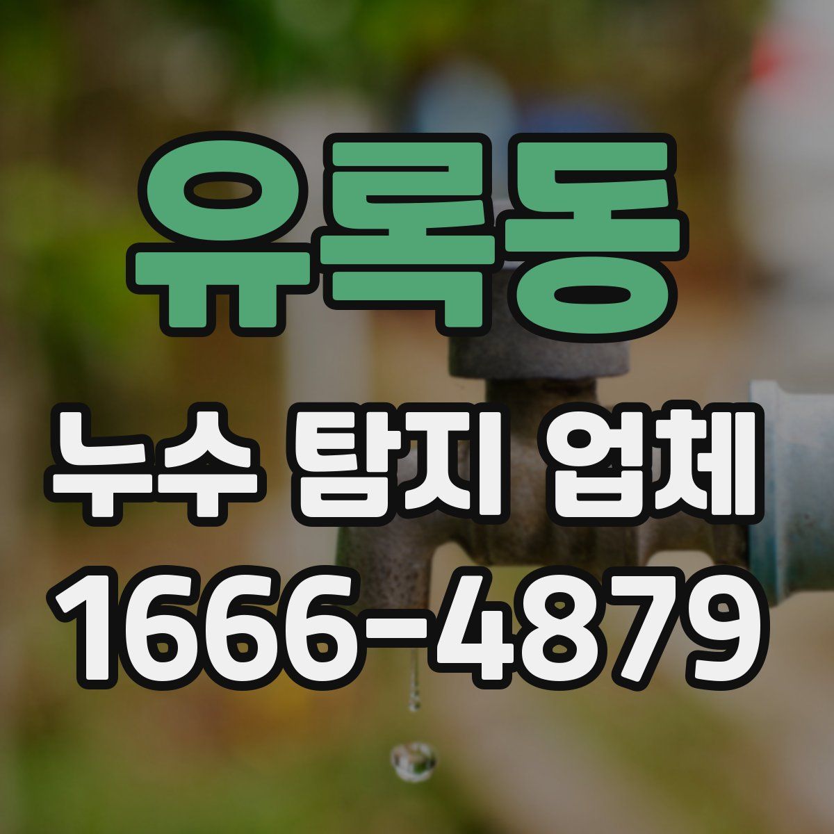 유록동 누수 탐지 업체