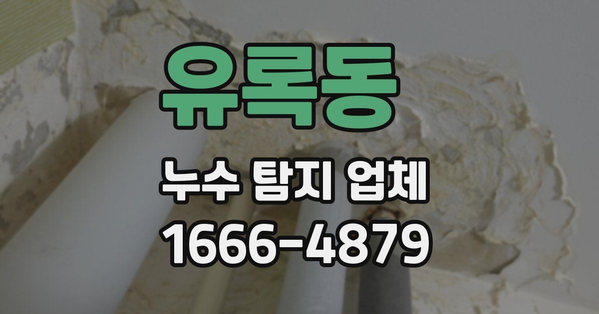 유록동 누수 탐지 업체