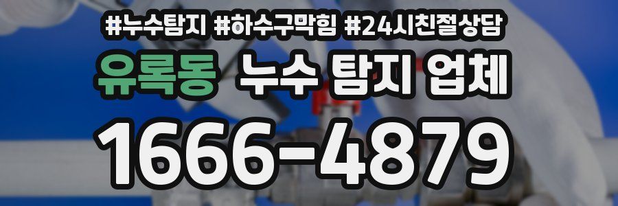 유록동 누수 탐지 업체