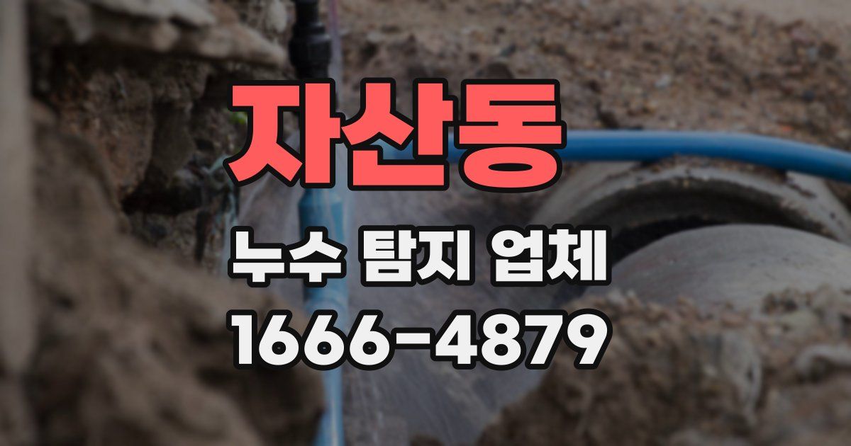 자산동 누수 탐지 업체