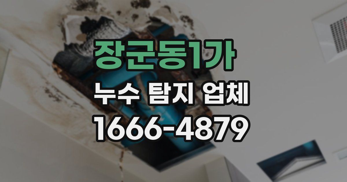 장군동1가 누수 탐지 업체